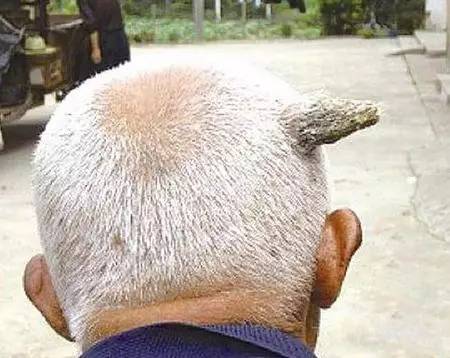 那些头上长角的人-质信十强榜