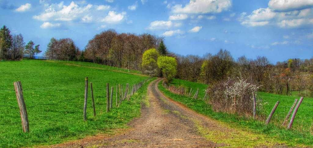 话糙理不糙是什么意思，话糙理不糙是什麽含义（农村随口就来的谚语蕴含着小故事大道理）