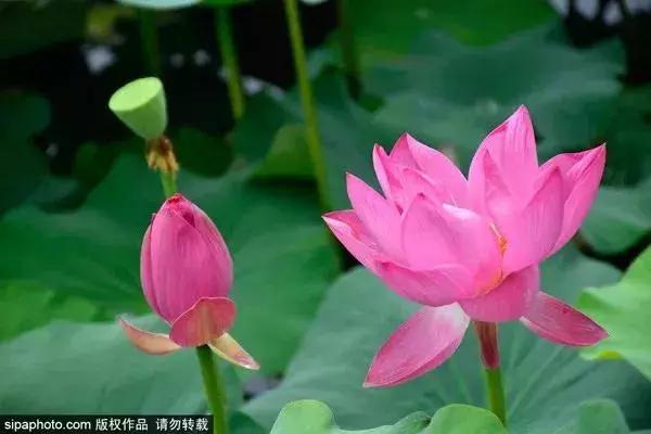 北京的旅游景点有哪些地方,北京市旅游景点 北京的旅游景点有哪些地方,北京市旅游景点