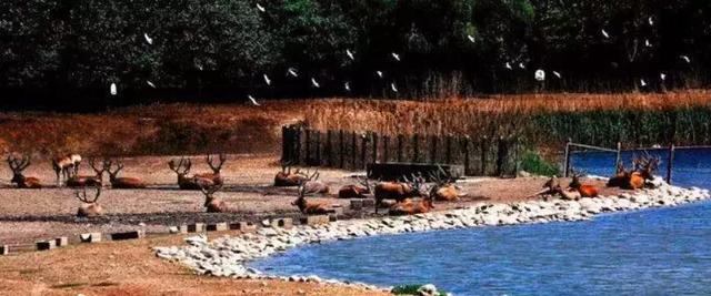 北京的旅游景点有哪些地方,北京市旅游景点 北京的旅游景点有哪些地方,北京市旅游景点