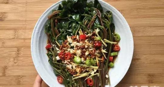 清炒红叶菜的做法,炒绿叶菜食谱(这种野菜会流血) 清炒红叶菜的做法,炒绿叶菜食谱(这种野菜会流血)