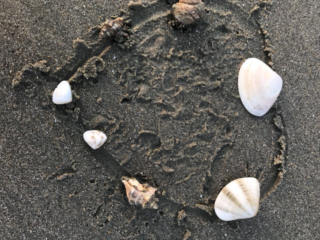 中国第一长滩在哪里，中国第一长滩是哪里（你还能领略南国海特产的风味）