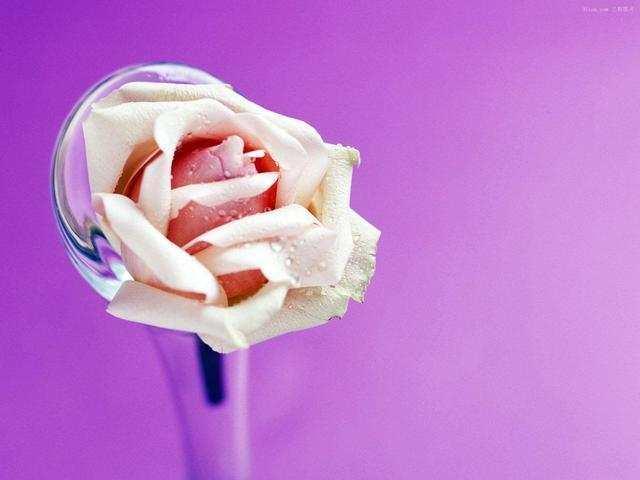 牛宝宝出生吉时，牛宝宝出生吉时查询表（肖牛人最吉利的三个出生时辰）