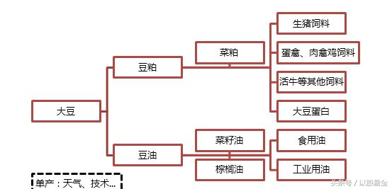 大商所的豆一与豆二区别，大连商品豆一豆二的区别（商品期货——豆一、豆二、豆粕与豆油）