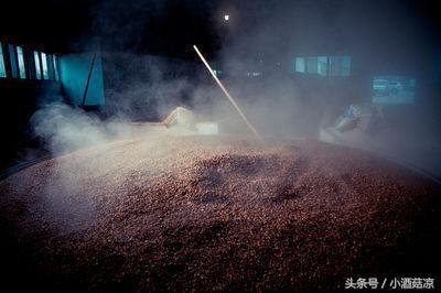 高粱酒的做法，高粱酒的做法 自酿（酿酒技术：如何蒸好高粱）