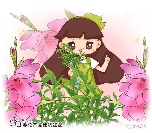 富贵竹如何浇水可以长得好，叶子油绿生根快