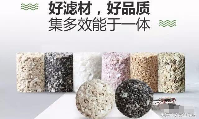 关刀和什么鱼混养，关刀鱼能和什么鱼混养最好（1.2米的龙虎魟混养缸也能炼成空气缸）