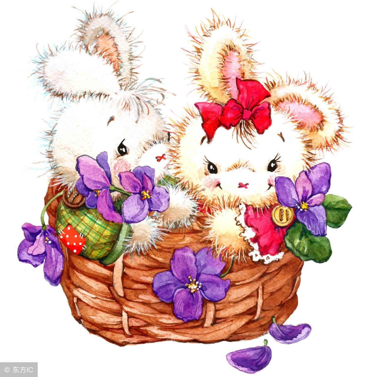 75年属兔今年运气,七月没病没灾-生肖-荣耀易学