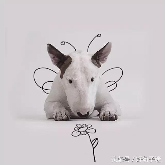 手机搞笑短信，手机 搞笑短信（最逗比最搞笑的签名句子）
