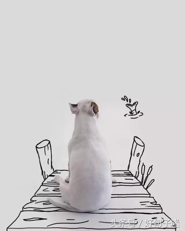手机搞笑短信，手机 搞笑短信（最逗比最搞笑的签名句子）