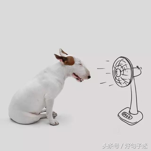 手机搞笑短信，手机 搞笑短信（最逗比最搞笑的签名句子）