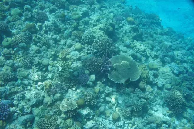 冲绳旅游美食购物攻略，冲绳旅游全攻略（日本三年签秘籍之-教你去冲绳玩）