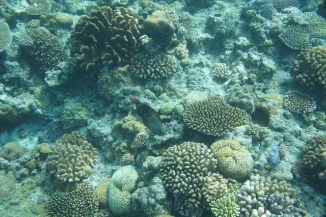 冲绳旅游美食购物攻略，冲绳旅游全攻略（日本三年签秘籍之-教你去冲绳玩）