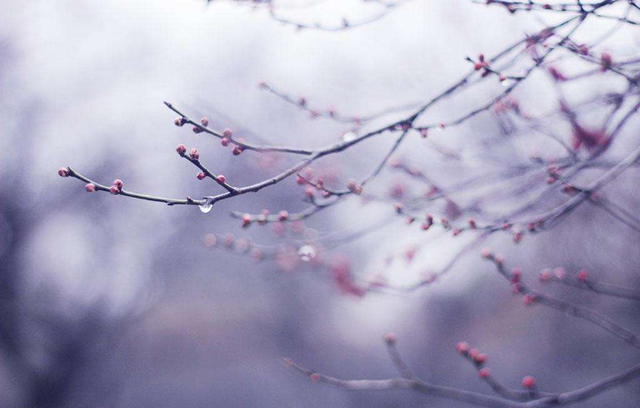 戌月是几月，寅午戌月是几月（月令<农历>别称）