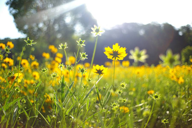 戌月是几月，寅午戌月是几月（月令<农历>别称）