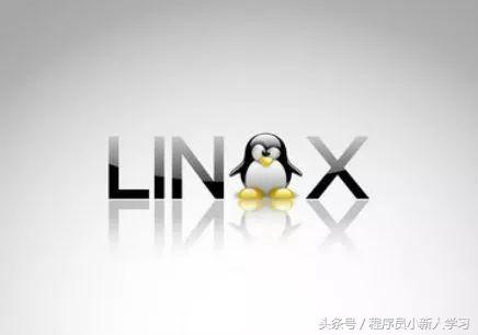 linux系统基础入门教程