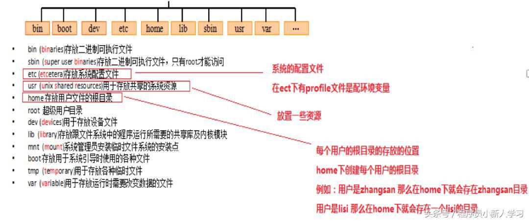 linux系统基础入门教程
