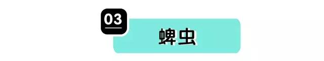 蜱虫会飞吗在哪容易出现，蜱虫是不是会飞（但咱还真不能小瞧了它们）