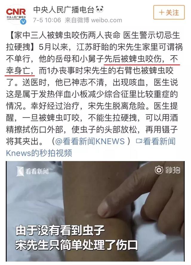 蜱虫会飞吗在哪容易出现，蜱虫是不是会飞（但咱还真不能小瞧了它们）