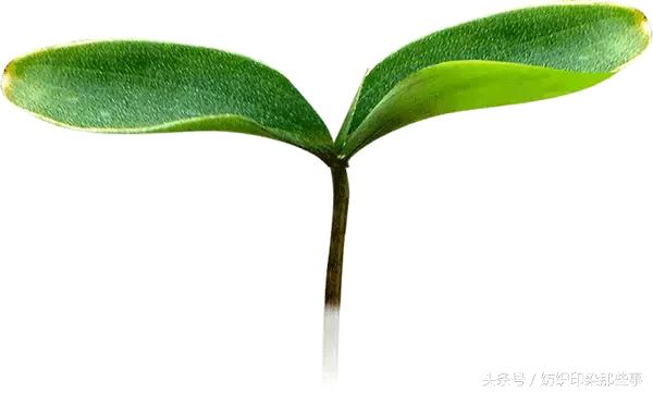 程勇的原型，程勇的原型判了几年（原型是无锡一家针织老板）