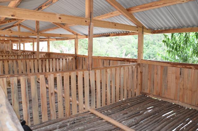 正宗原生态养殖黑山羊，黑山羊生态养殖