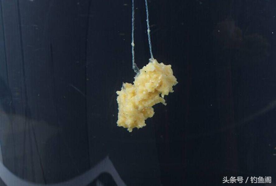 钓鲫鱼用什么鱼饵最好（10款钓鲫鱼的经典饵料）