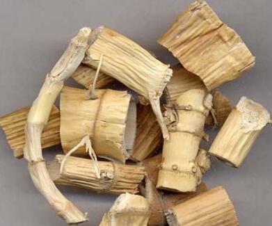 芦苇的用途有哪些，芦苇各部分的用途和价值（芦苇真是用处多）