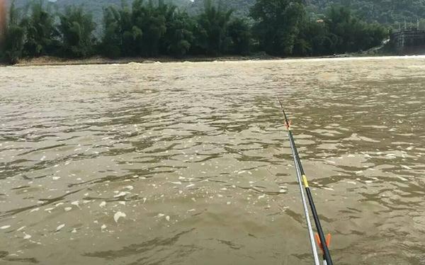 浑水摸鱼是什么意思，浑水摸鱼意思是什么（可能一直都被你错过）