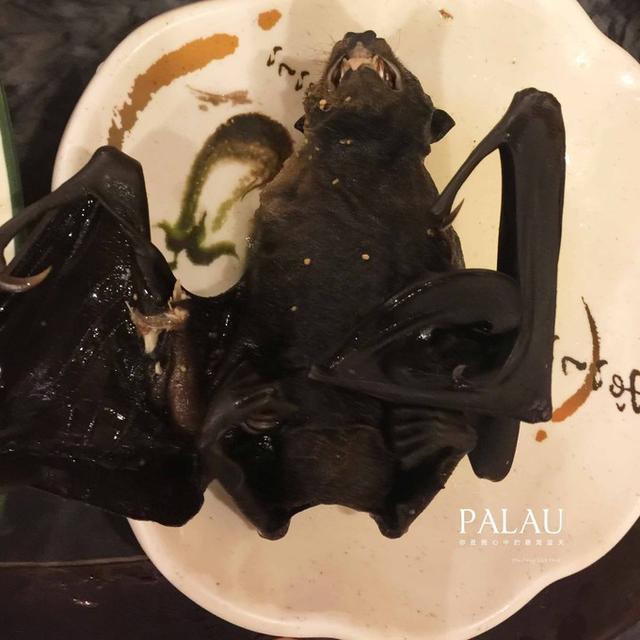 帕劳可以带多少香烟，帕劳可以带多少香烟上火车（小情侣在帕劳的六天五晚）
