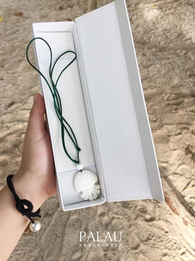帕劳可以带多少香烟，帕劳可以带多少香烟上火车（小情侣在帕劳的六天五晚）