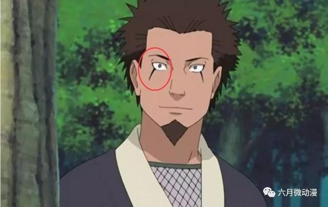木叶丸的爸爸是谁，猿飞木叶丸（果心居士并非自来也）