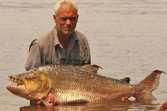 毒蛇鱼，世界上最危险的鱼（毒蛇鱼在哪钓）