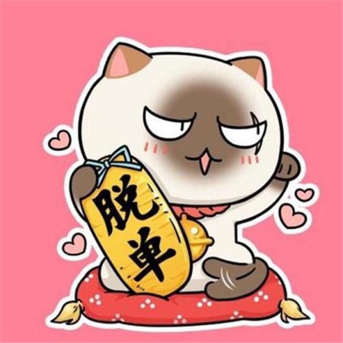叮当猫来喽哦，微信头像，叮当猫来喽哦（图吉利招财猫头像）