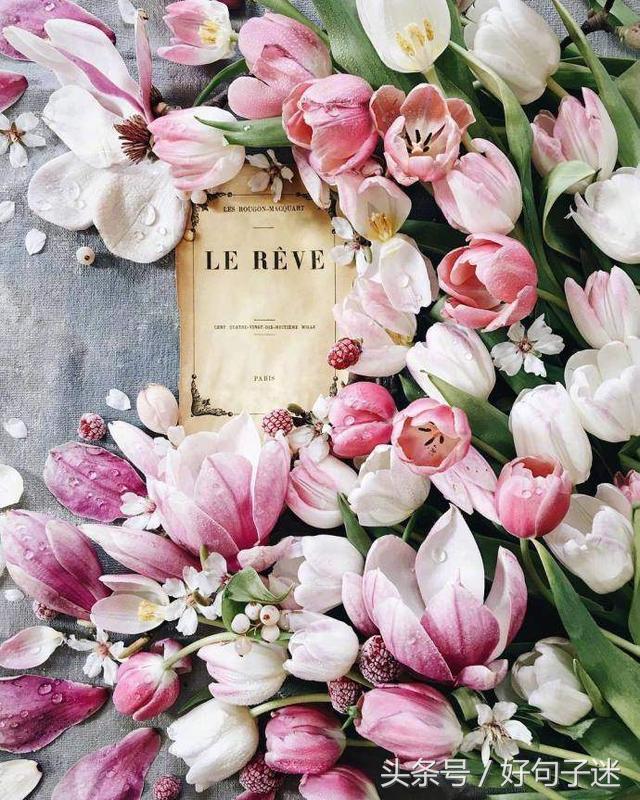 表白文案给男生的，跟男生表白文案（拿去对你喜欢的男生表白吧）