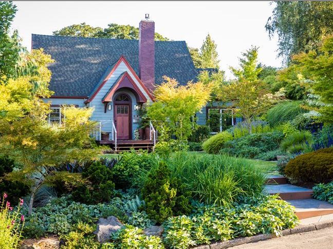 布迪椰子盆栽，布迪椰子北方种植（别墅花园设计中花卉的养护与繁殖）