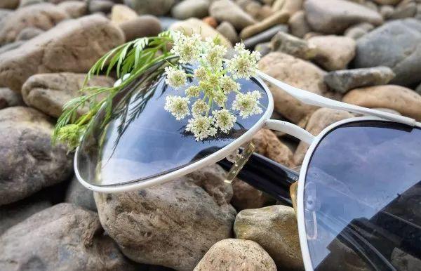 麦饭石是什么材料，麦饭石炒锅的骗局（捡这种沙子回来养花）