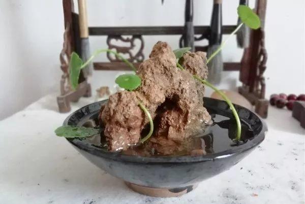 麦饭石是什么材料，麦饭石炒锅的骗局（捡这种沙子回来养花）