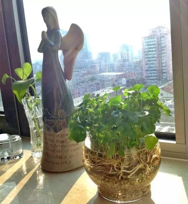 麦饭石是什么材料，麦饭石炒锅的骗局（捡这种沙子回来养花）