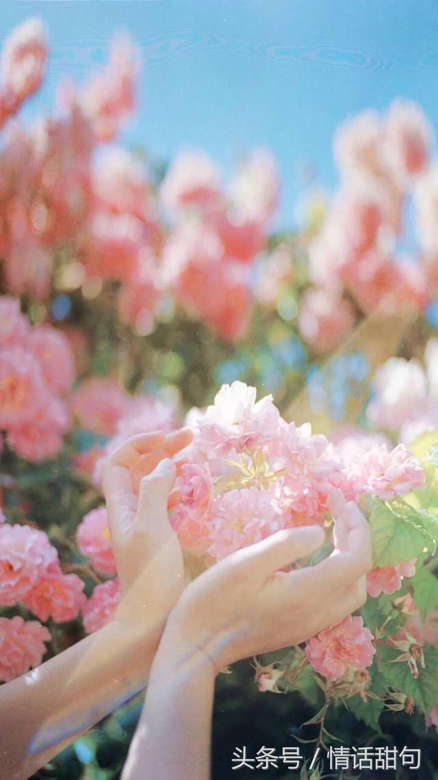 甜甜的可爱的情话，甜甜的情话大全（最多人转发的60句撩人情话）