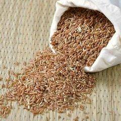 红米的功效与作用，黑米的功效与作用（红米——丰富营养又好吃）