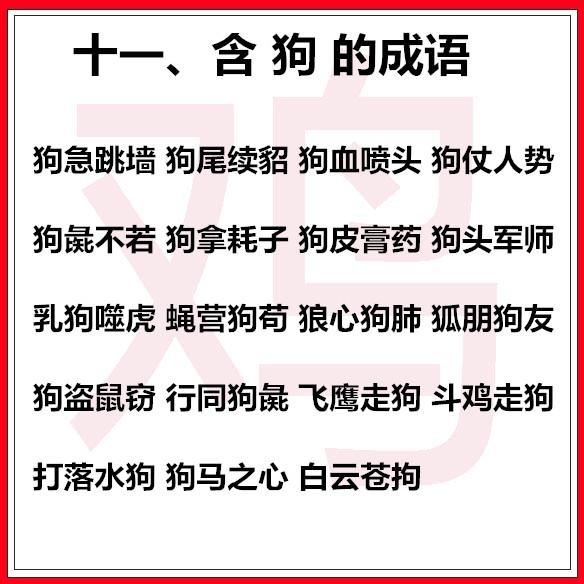 十二生肖成语大全，十二生肖成语一览表（原来成语还可以这样记忆）