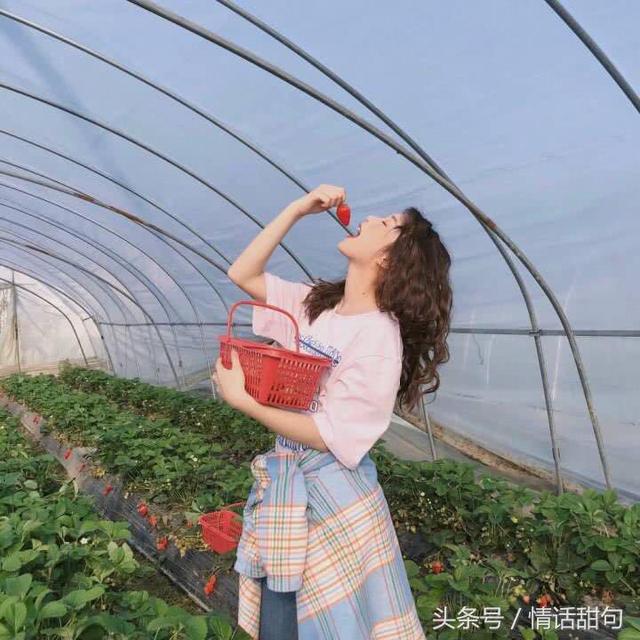 十句哄女人消气的土味情话，哄女人消气的土味情话（最近超火的100句土味情话合集）