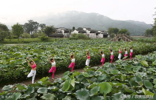 中伏热还是末伏热，中伏最热还是末伏热（农村俗语“热在三伏）