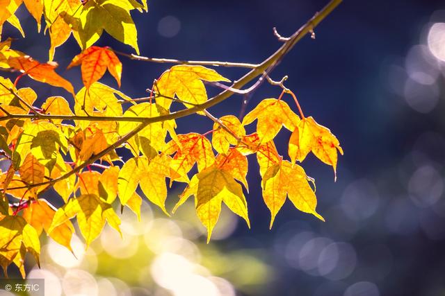 表示走的四字词语，表示时间最短的四字词语（不同用法的词语集锦<一>）