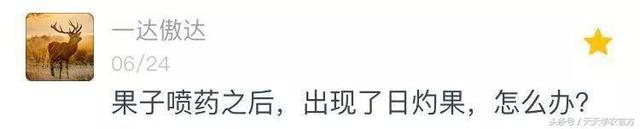 矿物油是什么，矿物油是什么颜色的（一不注意就让果子卖不出去）