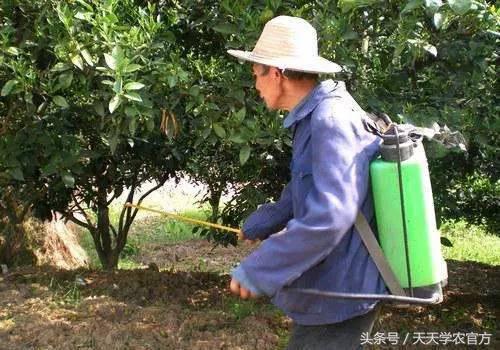 矿物油是什么，矿物油是什么颜色的（一不注意就让果子卖不出去）