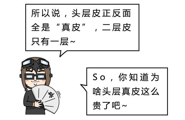 纳帕皮是什么皮，纳帕牛皮是什么皮（“真皮座椅”基本都是“坑”）