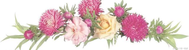 爱到最后无路可退，当初我以为相爱就能相随是什么歌曲（当爱“无路可退”时）