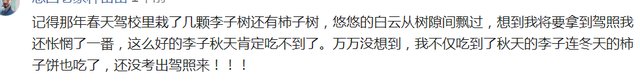 学车看出聪明和笨，学车看出聪明和笨吗（学车的时候才发现自己是个傻子）