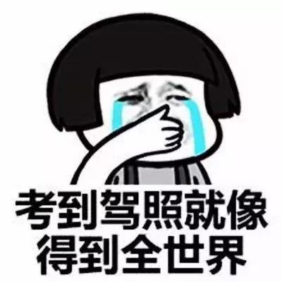 学车看出聪明和笨，学车看出聪明和笨吗（学车的时候才发现自己是个傻子）